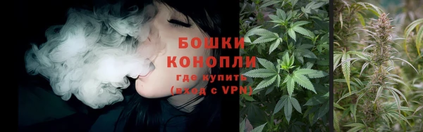 ГАЛЛЮЦИНОГЕННЫЕ ГРИБЫ Богородицк
