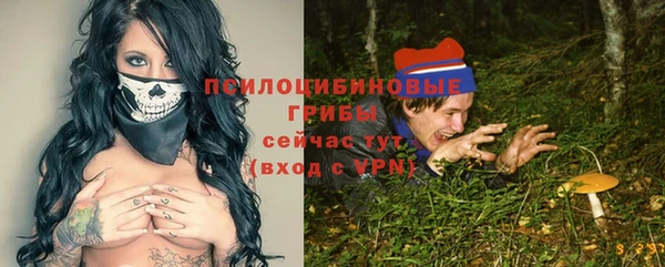 мет Белокуриха