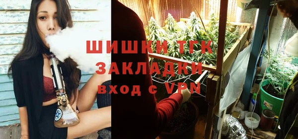 ГАЛЛЮЦИНОГЕННЫЕ ГРИБЫ Богородицк