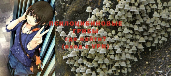 a pvp Богородск