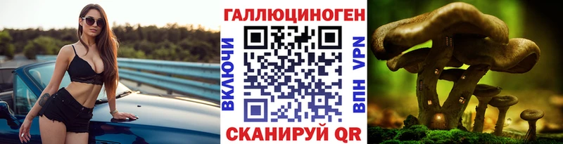 Псилоцибиновые грибы мицелий  Велиж 